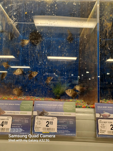 Pet Supply Store «PetSmart», reviews and photos, 15555 E 14th St, San Leandro, CA 94578, USA