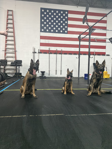 Gym «Crossfit Lorton», reviews and photos, 7406 Lockport Pl, Lorton, VA 22079, USA