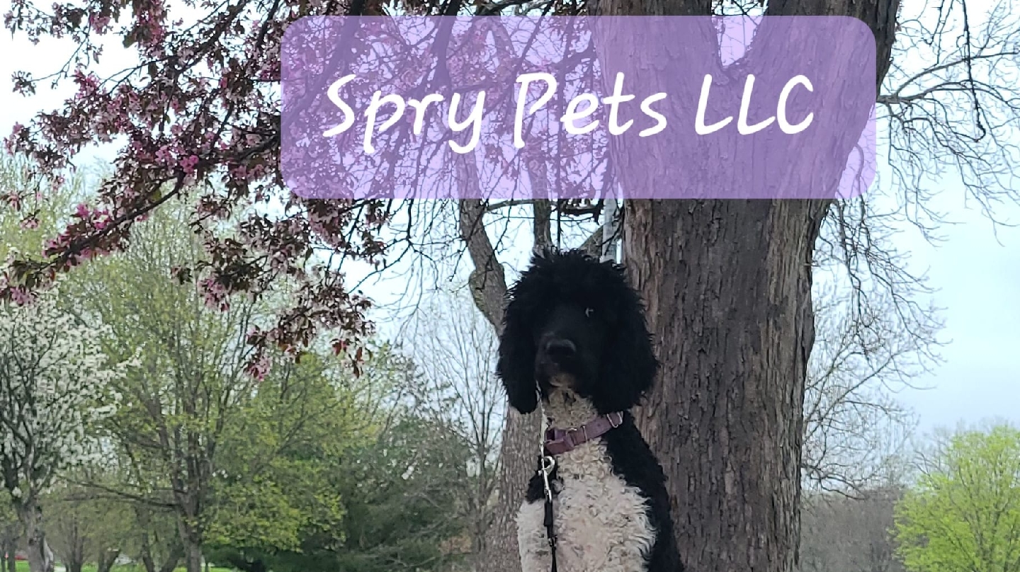 Spry Pets LLC