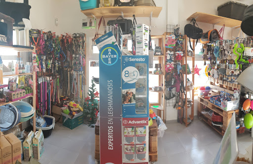 Tienda especializada y peluqueria de mascotas Natural Instinct en El Cotillo, Las Palmas