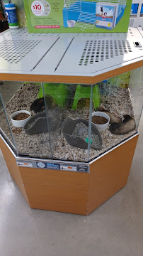 Petco - Photo 7 - Car repair in Clark, NJ, Staten Island