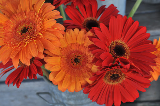 Florist «The Flower Shack», reviews and photos, 614 S Branciforte Ave, Santa Cruz, CA 95062, USA