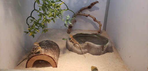 Pet Supply Store «Valley Feed», reviews and photos, 1486 Freedom Blvd, Watsonville, CA 95076, USA