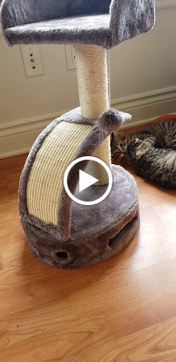 Supermarket «ALDI», reviews and photos, 28971 S Wixom Rd, Wixom, MI 48393, USA