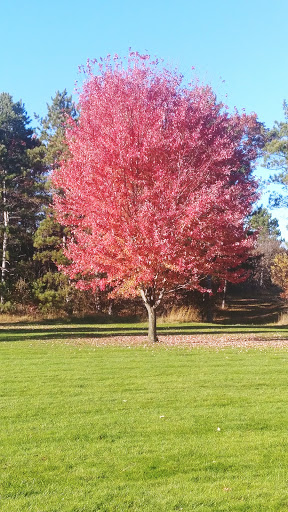 Golf Club «Bunker Hills Golf Club», reviews and photos, 12800 Bunker Prairie Rd NW, Coon Rapids, MN 55448, USA