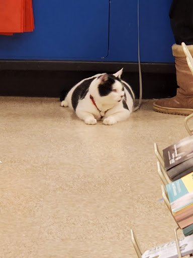 Pet Supply Store «PetSmart», reviews and photos, 100 108th Ave NE, Bellevue, WA 98004, USA