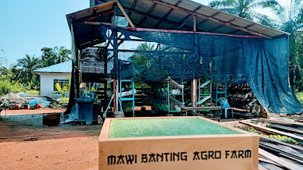 Mawi Banting Agro Farm