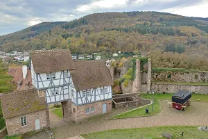 Hirschhorn Castle image