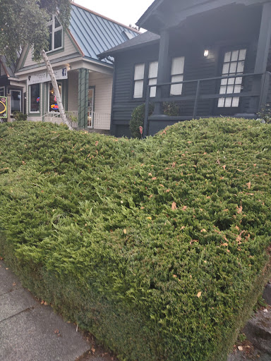 Bowling Alley «Tower Lanes», reviews and photos, 6323 6th Ave, Tacoma, WA 98406, USA