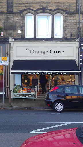 The Orange Grove