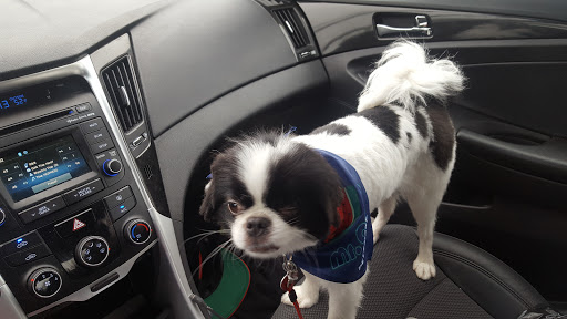 Pet Supply Store «PetSmart», reviews and photos, 187 Millburn Ave, Millburn, NJ 07041, USA