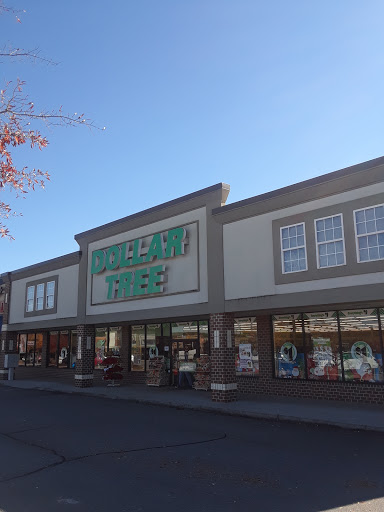 Dollar Store «Dollar Tree», reviews and photos, 12184 GA-92 #100, Woodstock, GA 30188, USA