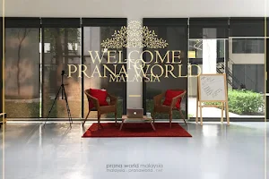 Prana World Malaysia - Pranic Healing Malaysia image