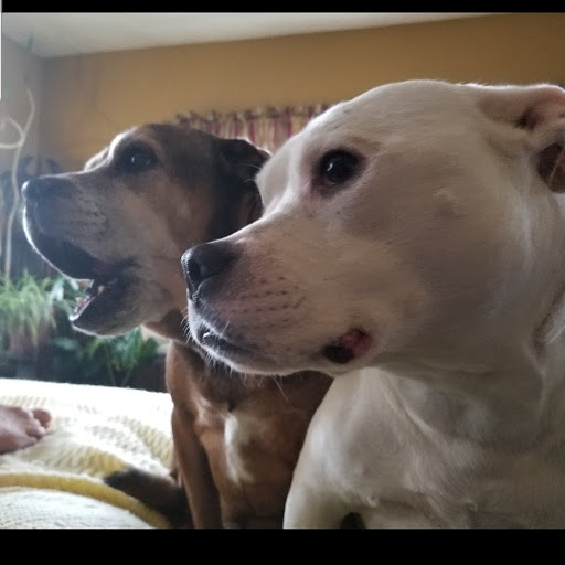 Explore redeemed tattoo ideas, creative tattoo ideas in Erie, available at EliKingInk