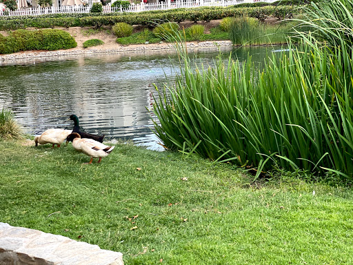 Park «Bridgeport Park», reviews and photos, 23520 Bridgeport Ln, Santa Clarita, CA 91355, USA