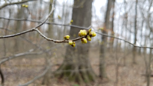 Nature Preserve «Meltzer Woods», reviews and photos, 1522 S 600 E, Shelbyville, IN 46176, USA