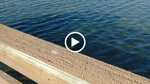 Park «George C. McGough Nature Park - The Narrows», reviews and photos, 11901 146th St N, Largo, FL 33774, USA