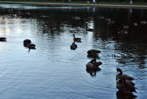 Museum «United States Holocaust Memorial Museum», reviews and photos, 100 Raoul Wallenberg Pl SW, Washington, DC 20024, USA