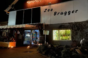 Zoo-Brugger image