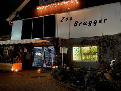 Zoo-Brugger
