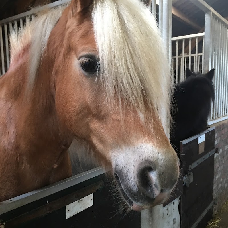 Manege Kuiper