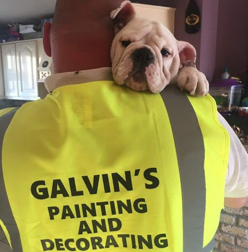 Galvins Painting & Decorating