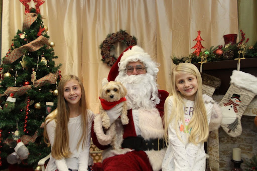 Pet Supply Store «The Hungry Puppy», reviews and photos, 1288 NJ-33, Farmingdale, NJ 07727, USA