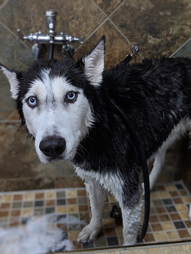 Pet Supply Store «Pet Valu», reviews and photos, 1305 West Seventh Street #28, Frederick, MD 21702, USA