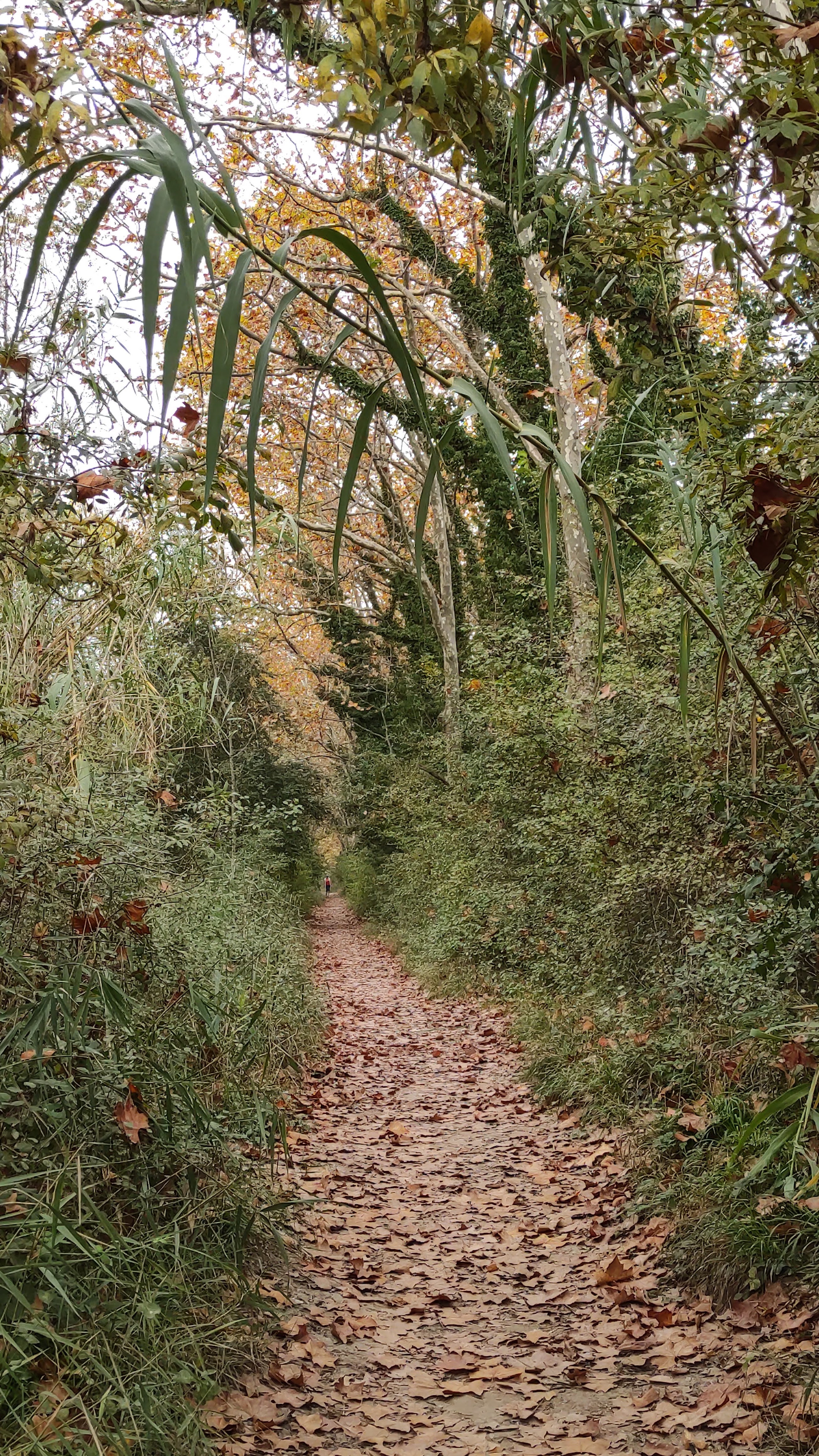 Photo n° 16 de l'avis de barbara.i fait le 31/10/2022 à 11:35