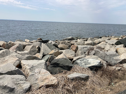 Boat Tour Agency «Patriot Cruises», reviews and photos, 213 N Talbot St, St Michaels, MD 21663, USA