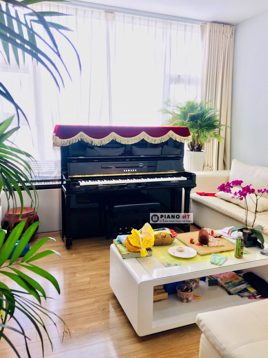 Showroom Piano HT Hồ Chí Minh