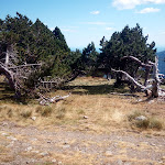 Photo n° 30 de l'avis de Philippe.h fait le 30/08/2021 à 20:43 pour Le Climatographe, Observatoire du Mont Aigoual à Val-d'Aigoual