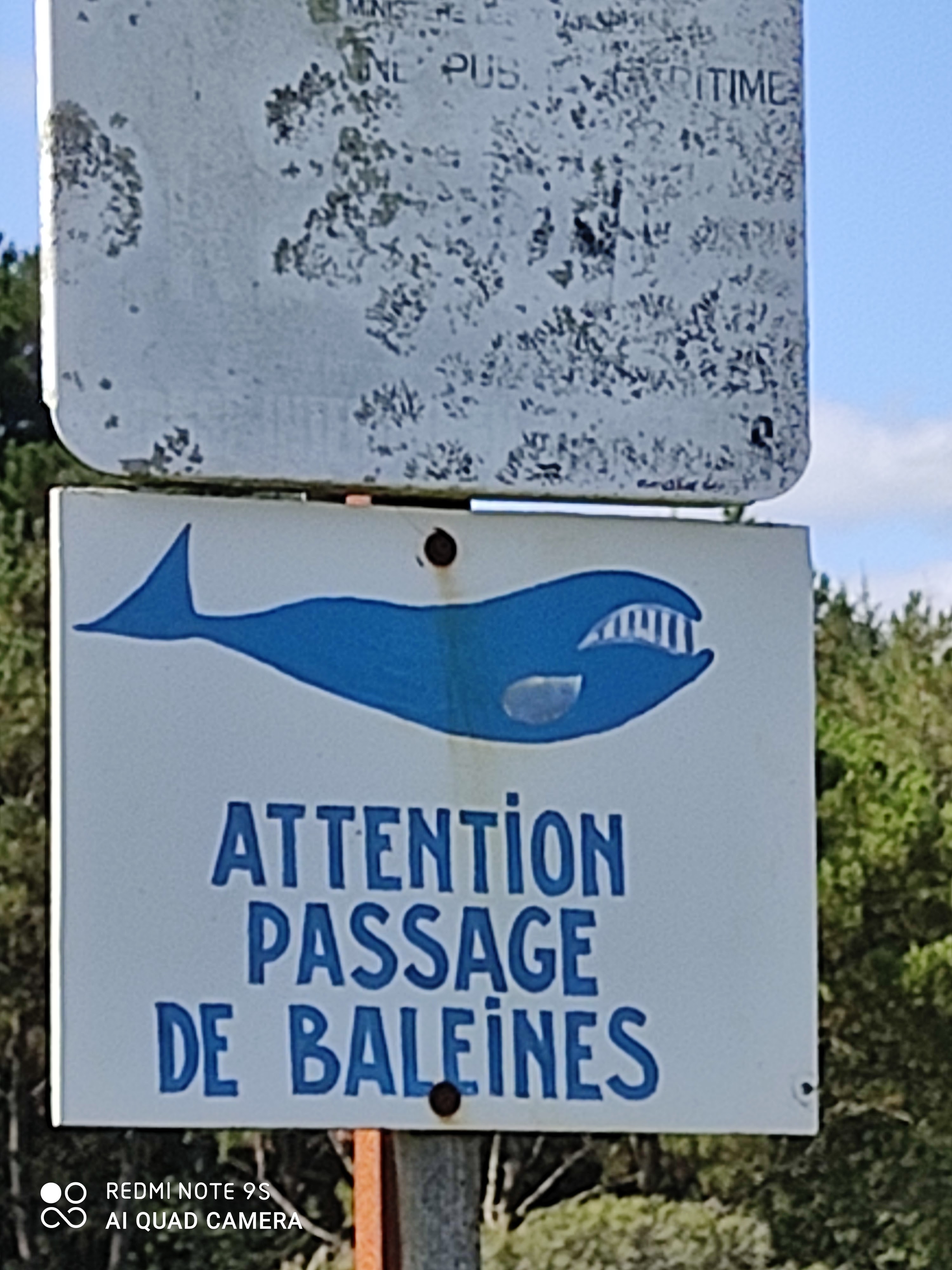 Photo n° 4 de l'avis de laurent.a fait le 18/07/2020 à 18:19