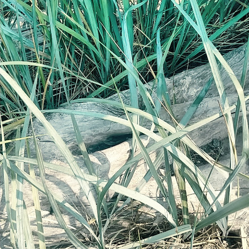 Park «Seahurst Park», reviews and photos, 1600 SW Seahurst Park Rd, Burien, WA 98166, USA