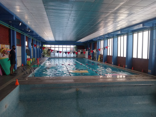 natatorio climatizado OLA SOFIA