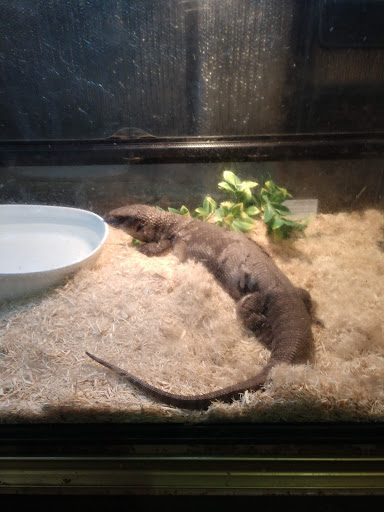 Pet Store «A to Z Pets», reviews and photos, 16010 SE Division St, Portland, OR 97236, USA