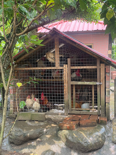 大豐花園餐廳 的照片