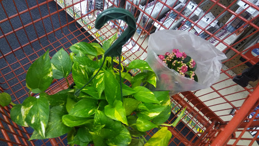 Grocery Store «Big 8 Food Stores», reviews and photos, 3518 Montana Ave, El Paso, TX 79903, USA