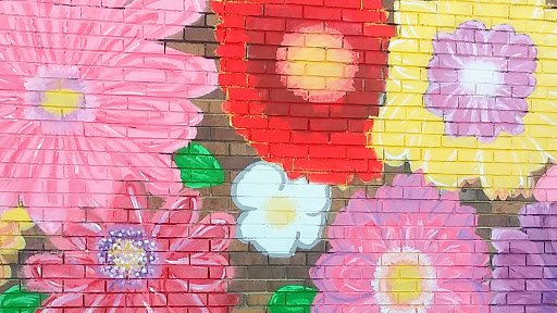 Discount Store «Dirt Cheap», reviews and photos, 1136 Main St, Tupelo, MS 38801, USA