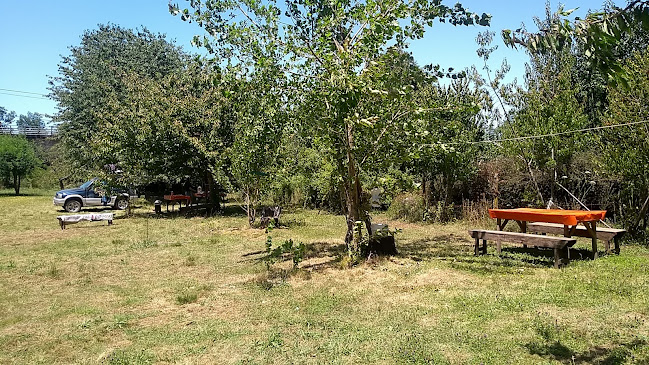 Comentarios y opiniones de Camping don pedro
