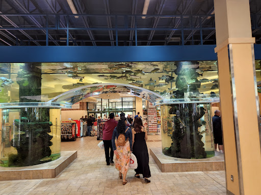 Sporting Goods Store «SCHEELS», reviews and photos, 1200 Scheels Drive, Sparks, NV 89434, USA