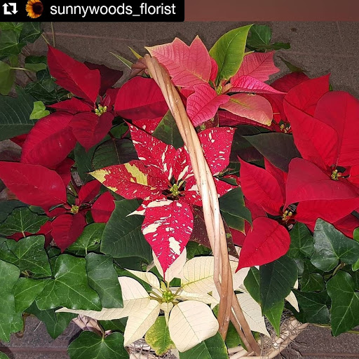 Florist «Sunnywoods Florist», reviews and photos, 251 Main Street, Chatham, NJ 07928, USA