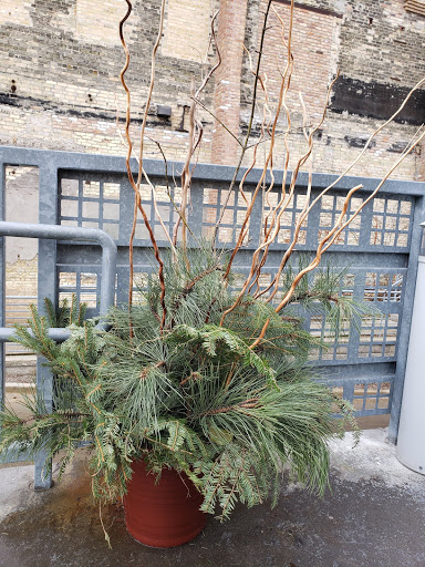 Florist «Grande Flowers», reviews and photos, 1433 E Capitol Dr, Shorewood, WI 53211, USA