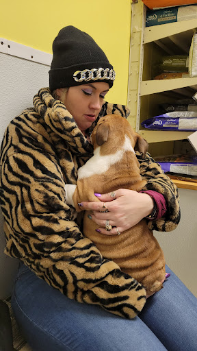 Pet Store «Yuppy Puppy Pet Shop», reviews and photos, 292 Frantz Rd, Stroudsburg, PA 18360, USA