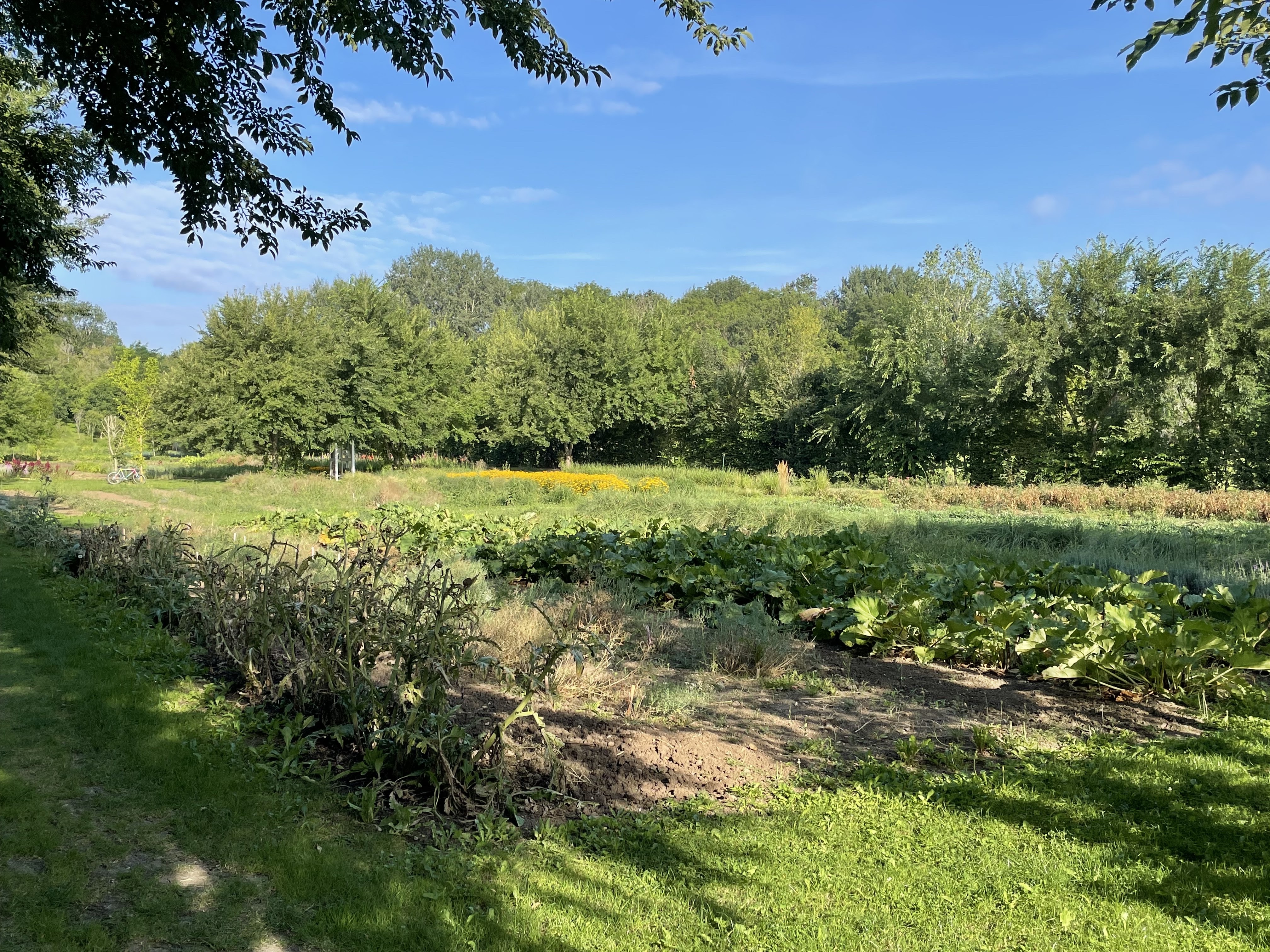 Photo n° 2 de l'avis de Gertjan.e fait le 17/08/2021 à 07:16
