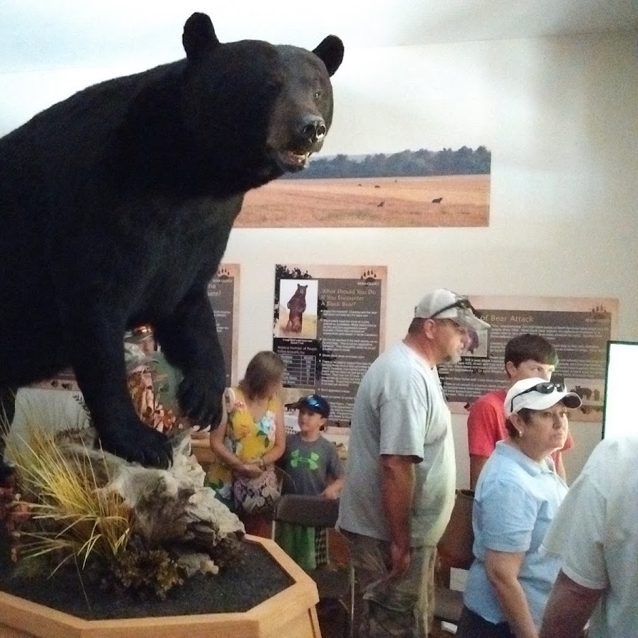 God's Creation Wildlife Museum