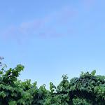 Photo n°4 de l'avis de Jordi.r fait le 12/06/2023 à 14:27 sur le  Le 5 Frecce à Campiglione-Fenile