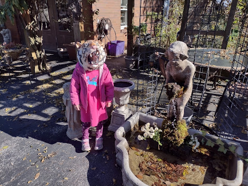 Gift Shop «Flowers In the Attic», reviews and photos, 7505 Saltsburg Rd, Pittsburgh, PA 15235, USA