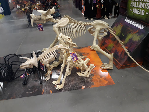 Home Improvement Store «The Home Depot», reviews and photos, 1550 Old Country Rd, Riverhead, NY 11901, USA