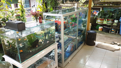 Arief Aquafish & Garden Amawang